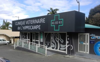 CLINIQUE VETERINAIRE